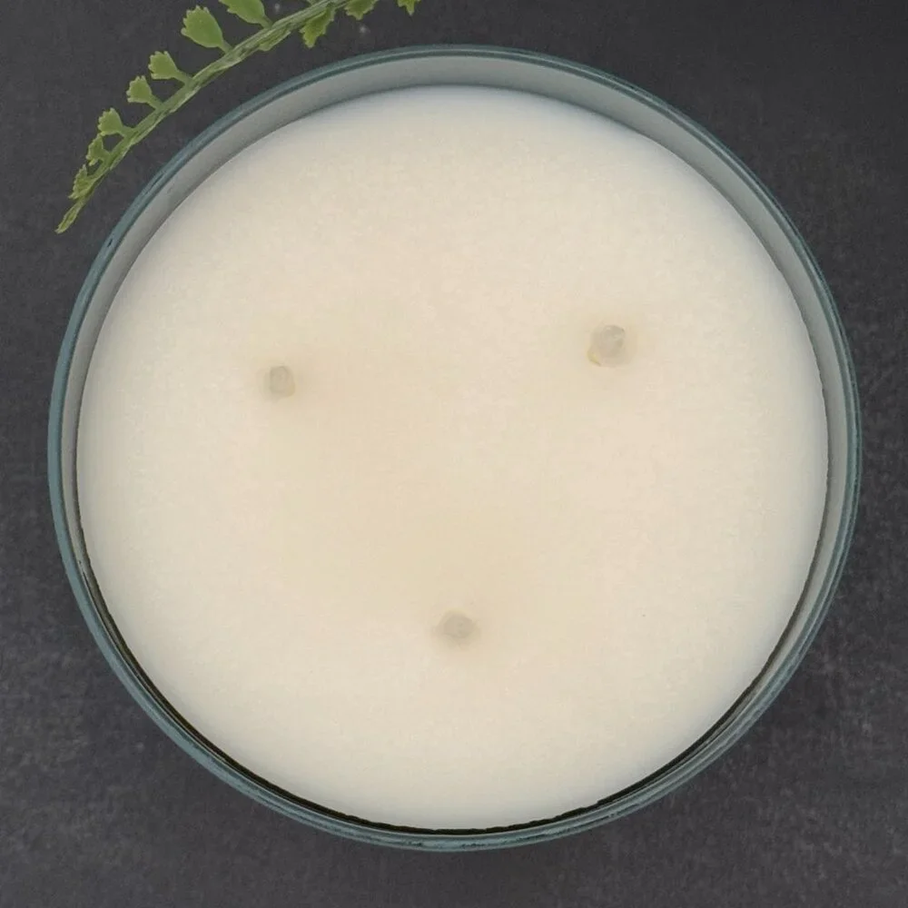 BBW Snowflakes & Citrus White Barn Bath & Body Works 3 Wick Candle